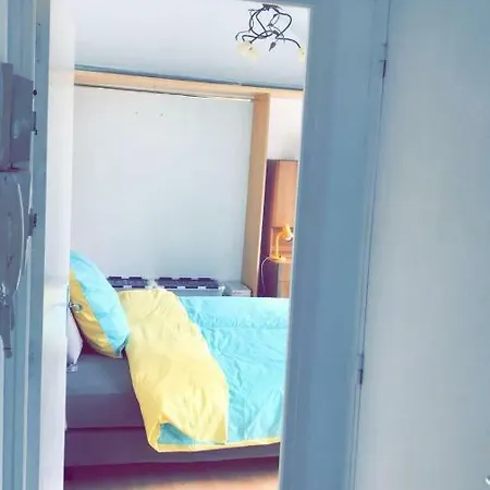 Tres Agreable Au Centre Ville Apartment