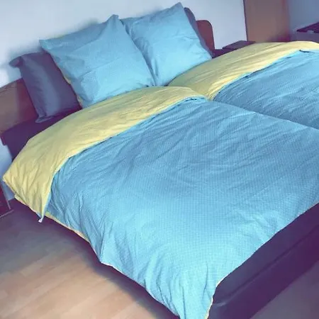 Tres Agreable Au Centre Ville Apartment *