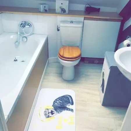 Apartment Tres Agreable Au Centre Ville