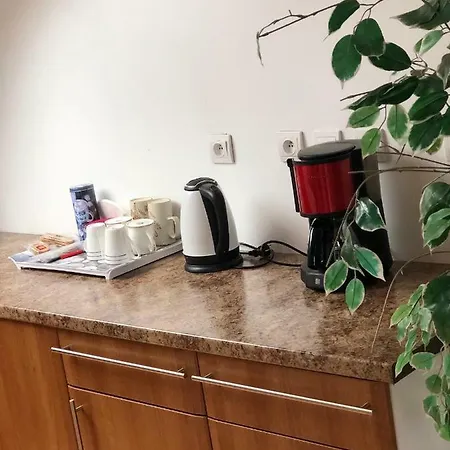 Tres Agreable Au Centre Ville Apartment