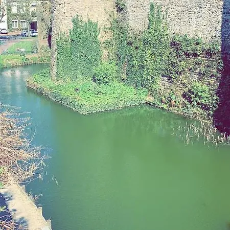 Tres Agreable Au Centre Ville Apartment *